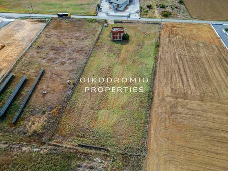 Αγροτεμάχια 10.000 τ.μ. για πώληση