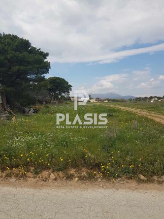 Land plot 8.454 sqm for sale, Athens - East, Paiania