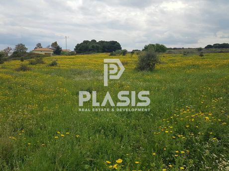 Οικόπεδο 4.695τ.μ. για πώληση-Παιανία