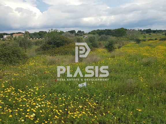 Land plot 3.000 sqm for sale, Athens - East, Paiania