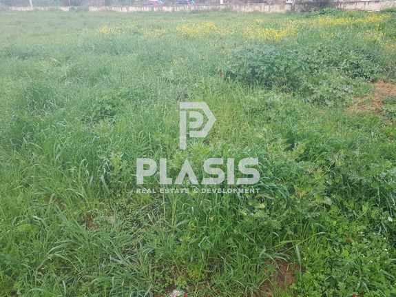 Land plot 642 sqm for sale, Athens - East, Paiania