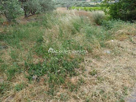 Οικόπεδο 500τ.μ. για πώληση-Επισκοπή » Σγουροκεφάλι