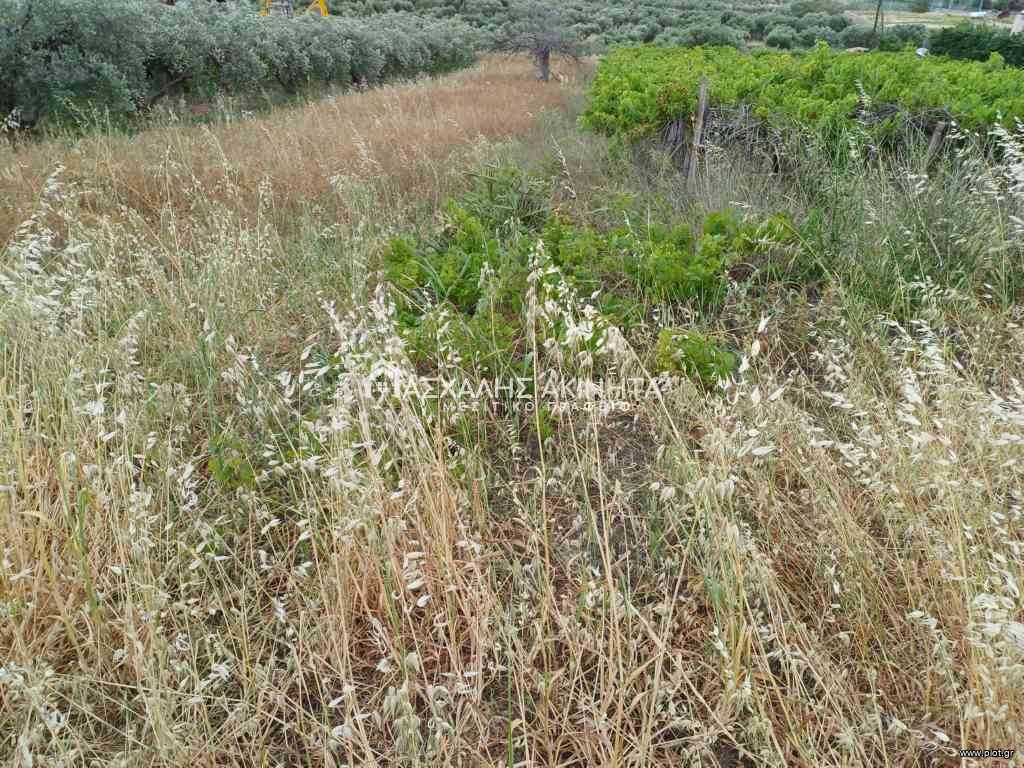 Οικόπεδο 500 τ.μ. πρός πώληση, Ν. Ηρακλείου, Επισκοπή