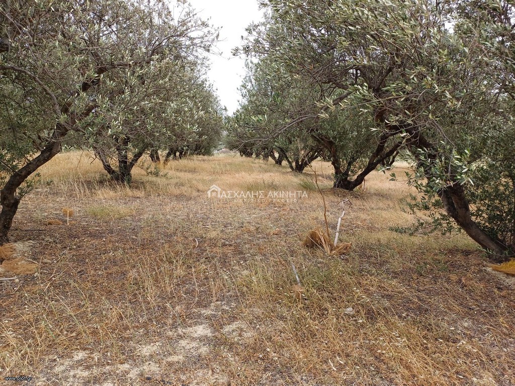Οικόπεδο 4.670 τ.μ. πρός πώληση, Ν. Ηρακλείου, Επισκοπή