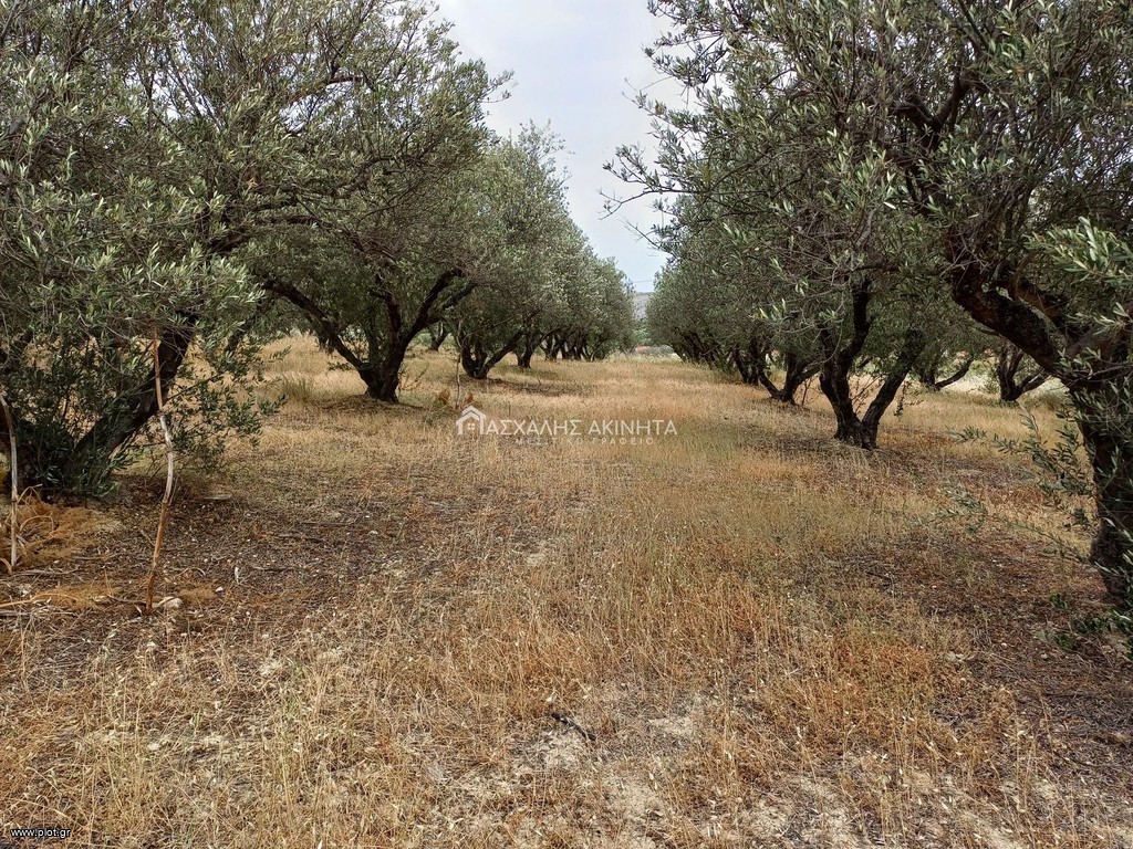 Οικόπεδο 4.670 τ.μ. πρός πώληση, Ν. Ηρακλείου, Επισκοπή