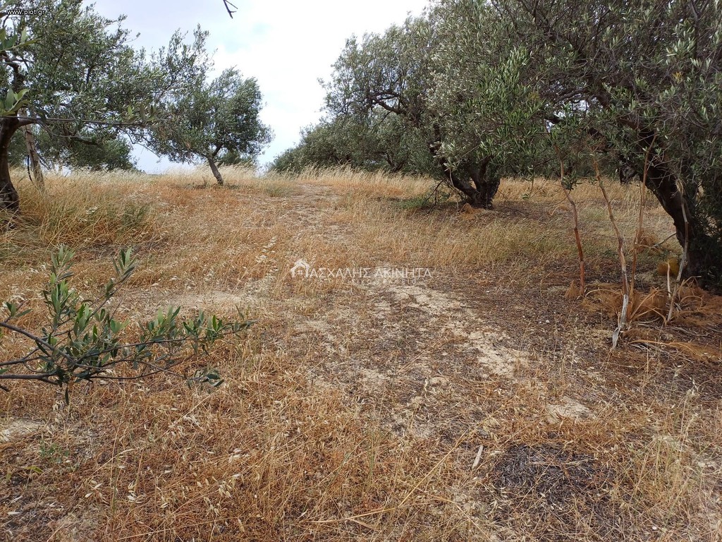 Οικόπεδο 4.670 τ.μ. πρός πώληση, Ν. Ηρακλείου, Επισκοπή