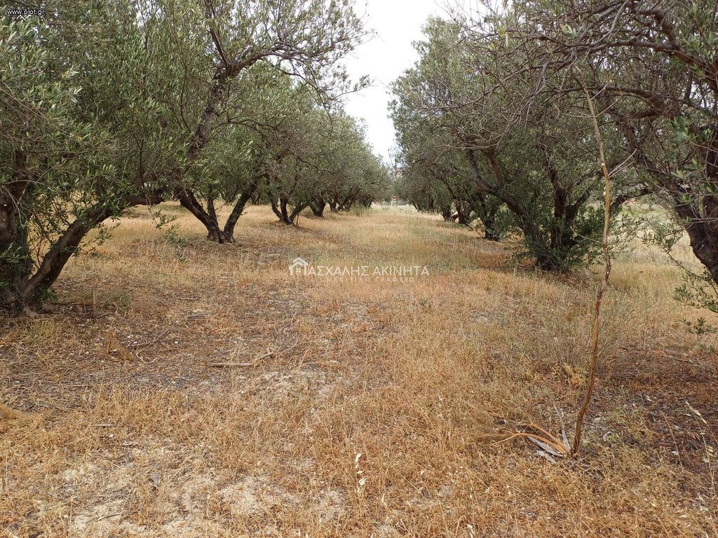 Οικόπεδο 4.670 τ.μ. πρός πώληση, Ν. Ηρακλείου, Επισκοπή