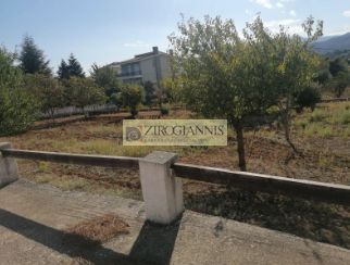 Οικόπεδο 4.012 τ.μ. για πώληση, Αττική - Υπόλοιπο, Κ. Καπανδριτίου