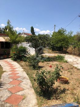 Οικόπεδο 950 τ.μ. για πώληση