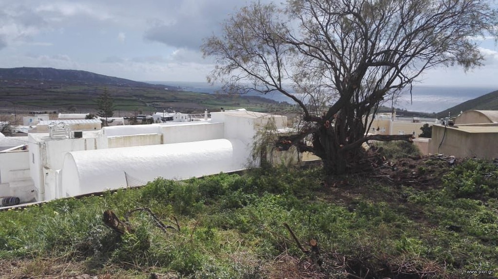 Οικόπεδο 600 τ.μ. προς πώληση, Θήρα