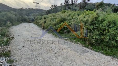 Αγροτεμάχια 5.000τ.μ. για πώληση-Λευκάδα