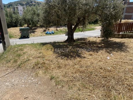 Parcel 430sqm for sale-Fili » Mouzaka