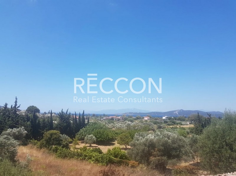 Αγροτεμάχια 5.281 τ.μ. προς πώληση, Κουβέλλες