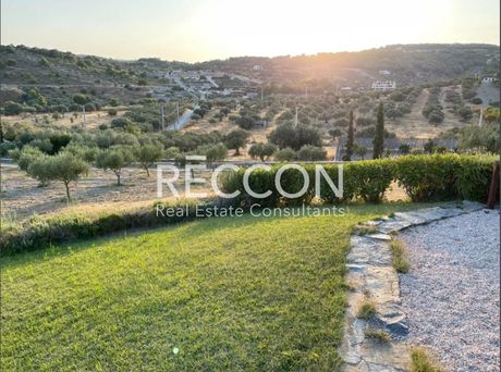 Land plot 6.400sqm for sale-Kouvaras » Neos Kouvaras