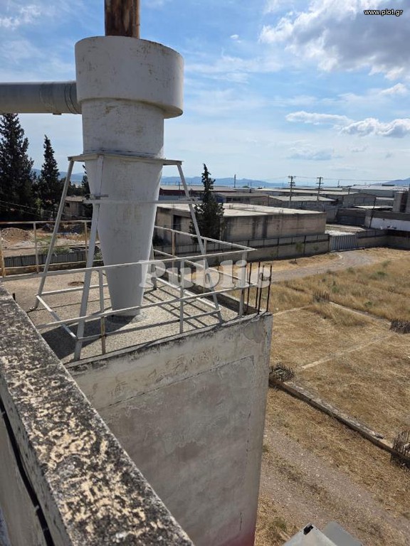 Οικόπεδο 8.000 τ.μ. προς πώληση, Μαυρηνόρα