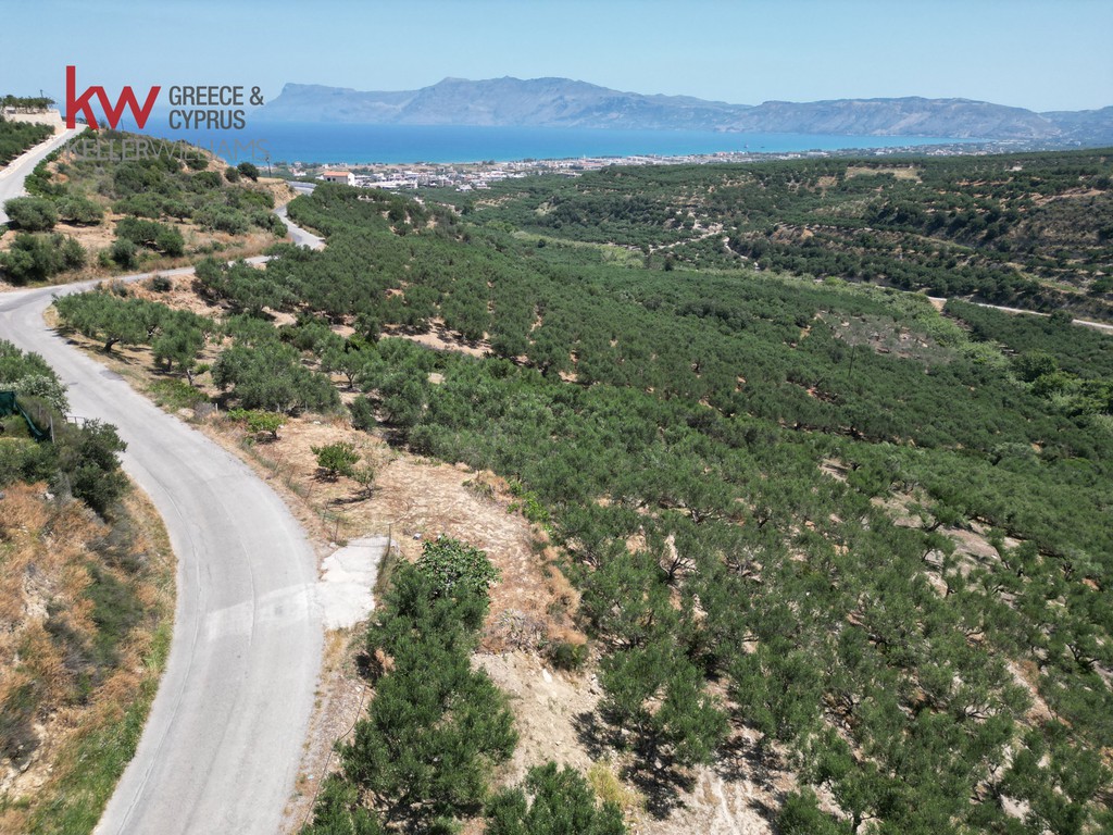Οικόπεδο 1.569,89 τ.μ. προς πώληση, Κίσσαμος
