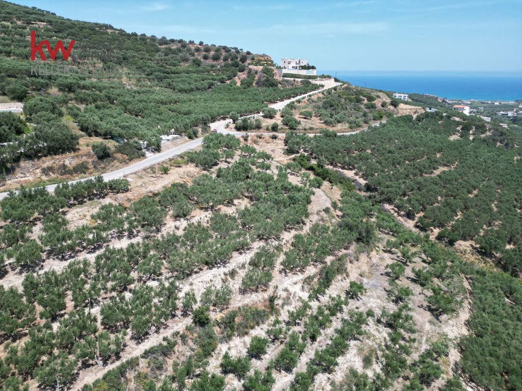 Οικόπεδο 1.569,89 τ.μ. προς πώληση, Κίσσαμος