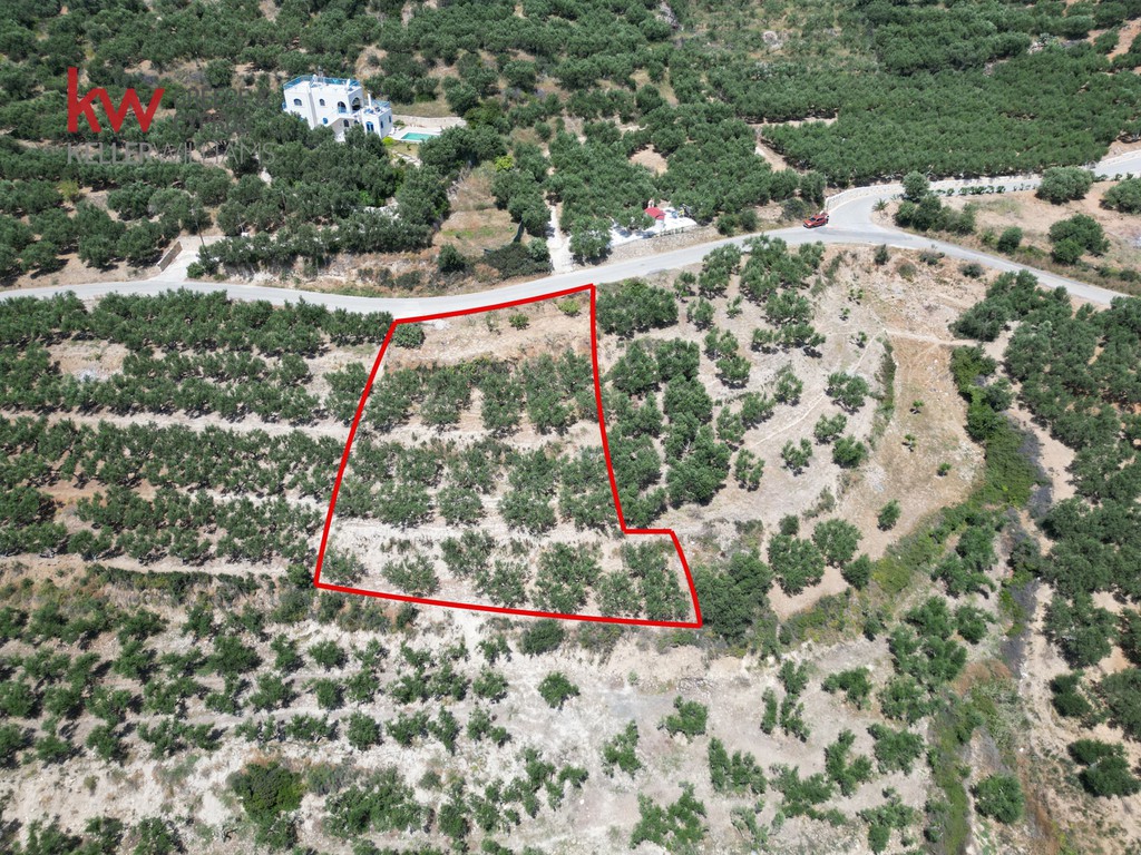 Οικόπεδο 1.569,89 τ.μ. προς πώληση, Κίσσαμος