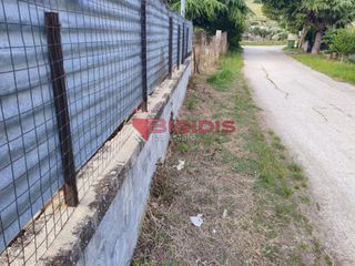 Οικόπεδο 460 τ.μ. για πώληση, Ν. Σερρών, Σέρρες-thumb-1