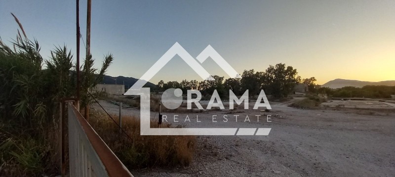 Land plot 30.000 sqm for rent, Achaia, Rio