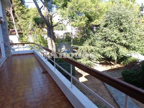 Διαμέρισμα 212 τ.μ. για ενοικίαση