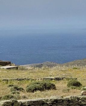 Οικόπεδο 2.000τ.μ. για πώληση-Τήνος » Κιόνια