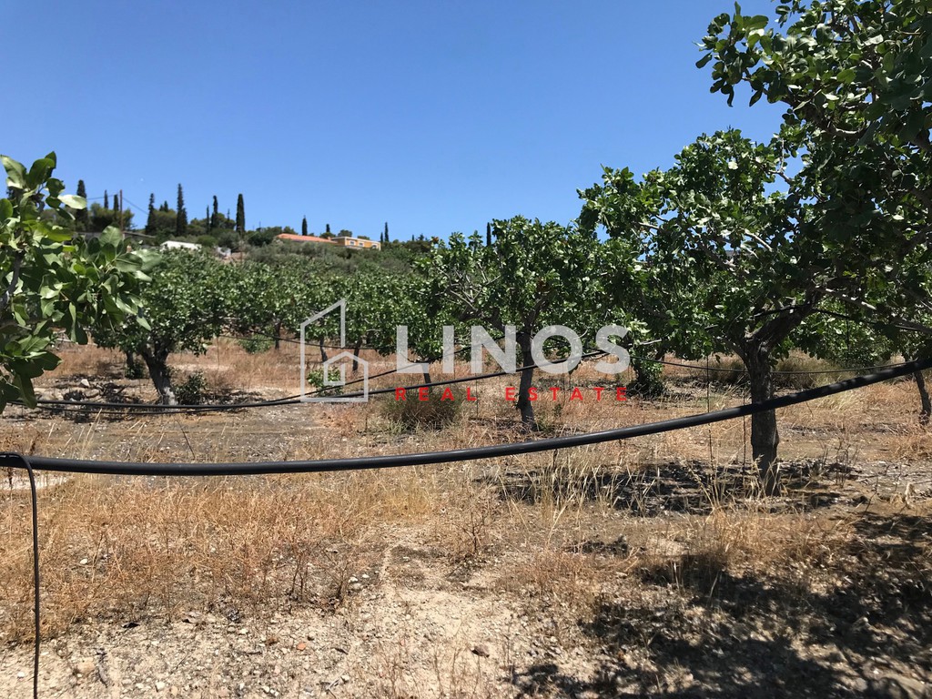 Οικόπεδο 4.500 τ.μ. πρός πώληση, Νησιά Αργοσαρωνικού, Αίγινα