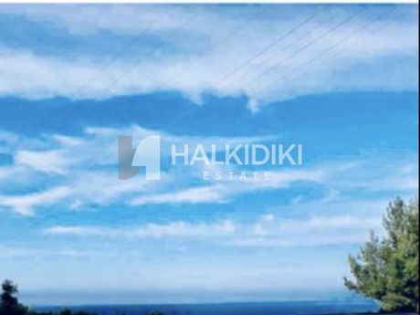 Διαμέρισμα 40τ.μ. για πώληση-Σιθωνία » Νέος μαρμαράς