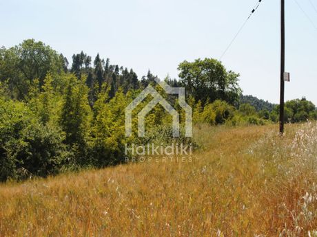 Αγροτεμάχια 13.400τ.μ. για πώληση-Κασσάνδρα » Κασσανδρηνό