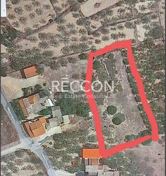 Οικόπεδο 1.500τ.μ. για πώληση-Αίγινα » Κυψέλη