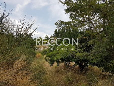 Οικόπεδο 1.003τ.μ. για πώληση-Πικέρμι » Ντράφι