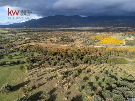 Parcel 8.000sqm for sale-Fares