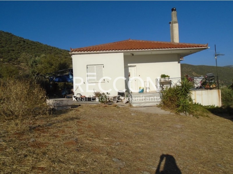 Μονοκατοικία 300 τ.μ. προς πώληση, Εύβοια, Δύστος