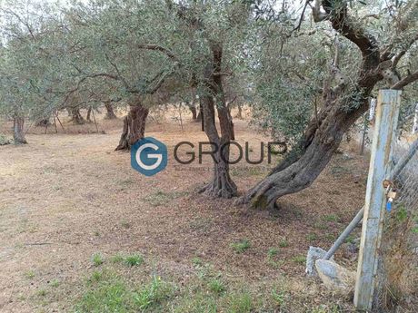 Parcel 1.150sqm for sale-Alexandroupoli » Makri