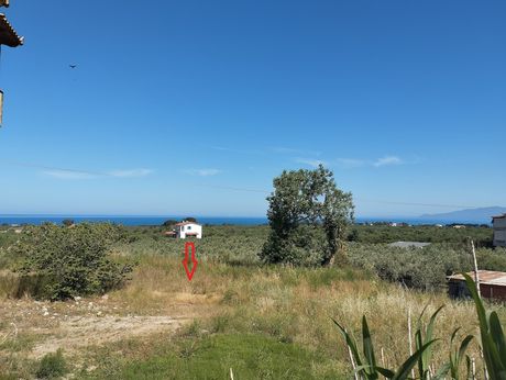 Οικόπεδο 589τ.μ. για πώληση-Κυπαρισσία » Μεμί