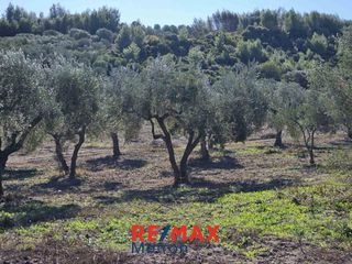 Αγροτεμάχια 6.030,86 τ.μ. προς πώληση, Πολύχρονο-thumb-20