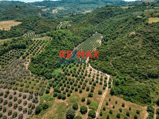 Αγροτεμάχια 6.030,86 τ.μ. προς πώληση, Πολύχρονο-thumb-28