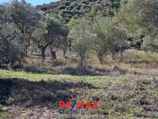 Αγροτεμάχια 6.030,86 τ.μ. προς πώληση, Πολύχρονο-thumb-13