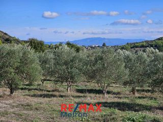 Αγροτεμάχια 6.030,86 τ.μ. προς πώληση, Πολύχρονο-thumb-8