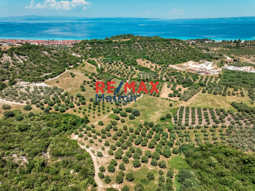 Αγροτεμάχια 6.030,86 τ.μ. πρός πώληση, Χαλκιδική, Παλλήνη