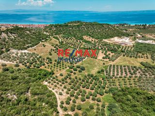 Αγροτεμάχια 6.030,86 τ.μ. προς πώληση, Πολύχρονο-thumb-1