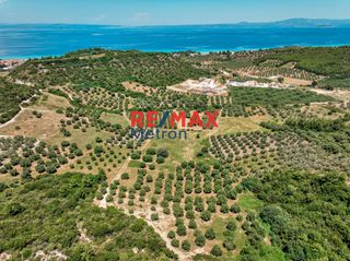 Αγροτεμάχια 6.030,86 τ.μ. προς πώληση, Πολύχρονο-thumb-26