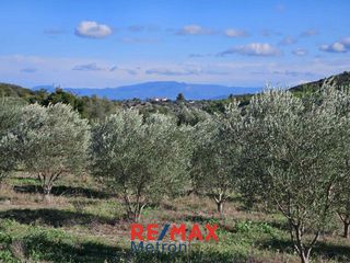 Αγροτεμάχια 6.030,86 τ.μ. προς πώληση, Πολύχρονο-thumb-12