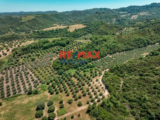 Αγροτεμάχια 6.030,86 τ.μ. προς πώληση, Πολύχρονο-thumb-29