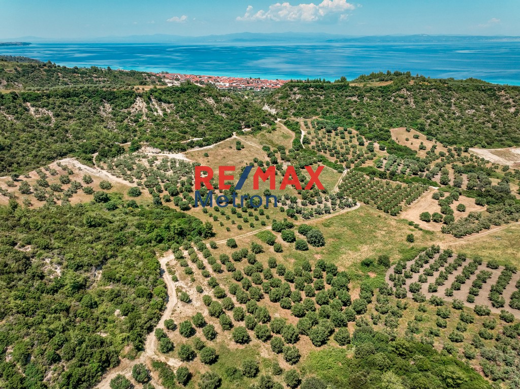 Αγροτεμάχια 6.030,86 τ.μ. πρός πώληση, Χαλκιδική, Παλλήνη