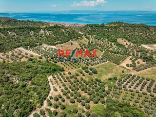 Αγροτεμάχια 6.030,86 τ.μ. προς πώληση, Πολύχρονο-thumb-2