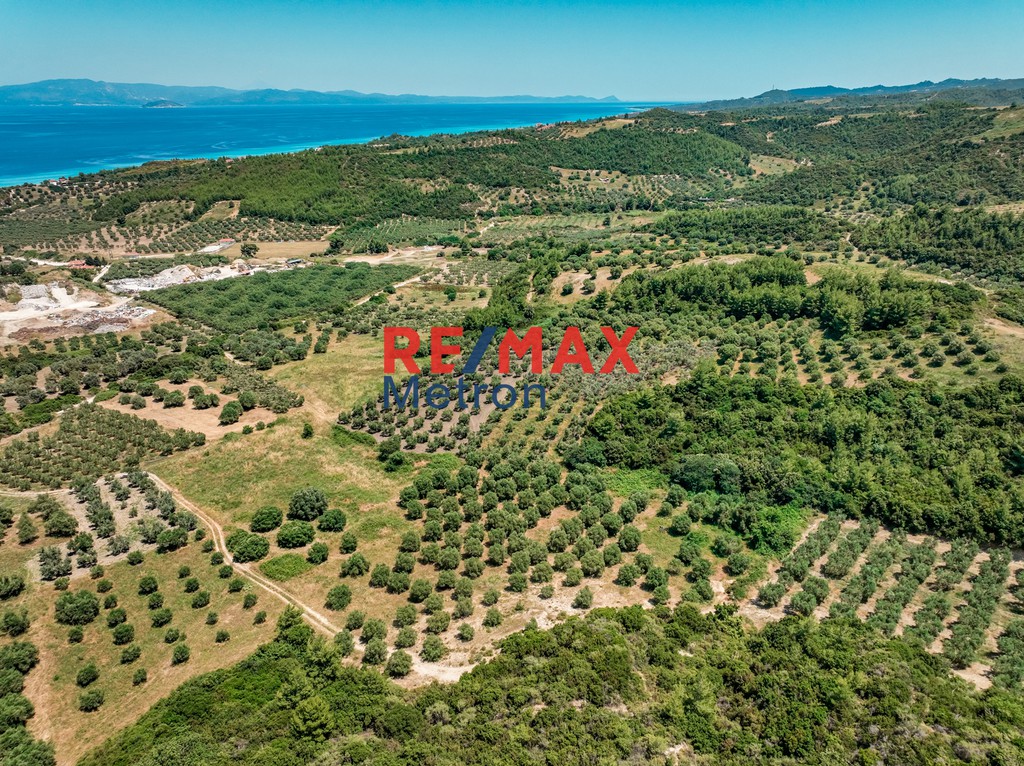 Αγροτεμάχια 6.030,86 τ.μ. πρός πώληση, Χαλκιδική, Παλλήνη