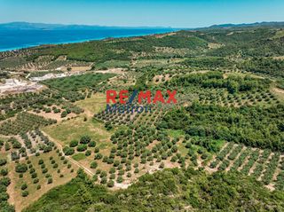 Αγροτεμάχια 6.030,86 τ.μ. προς πώληση, Πολύχρονο-thumb-3