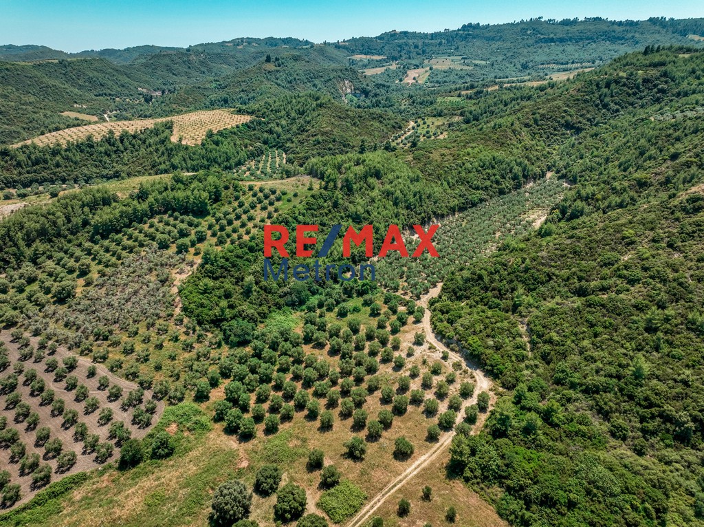 Αγροτεμάχια 6.030,86 τ.μ. πρός πώληση, Χαλκιδική, Παλλήνη