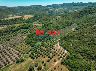 Αγροτεμάχια 6.030,86 τ.μ. προς πώληση, Πολύχρονο-thumb-4